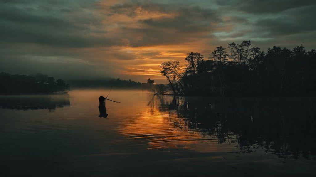 Fisherman silhouette at Texas bayou sunset